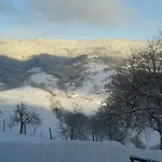 Апартаменты Brandenkopf Оберхармерсбах