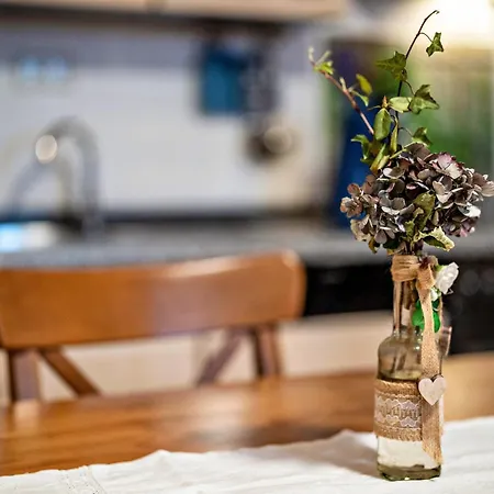 Brandenkopf Daire Oberharmersbach