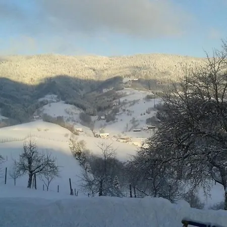 Lägenhet Brandenkopf Oberharmersbach